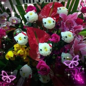 Meet your Posher, Ednalyn